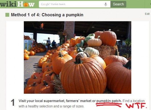 Pumpkin patch
