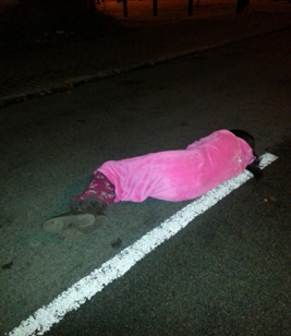 Party animal