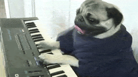 happy pug