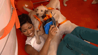 puppies
