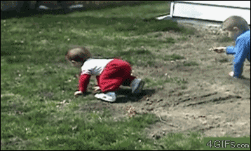 dogs-run-over-baby