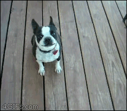 excited