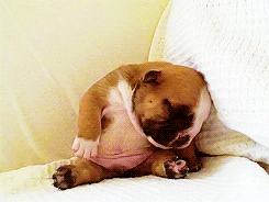 sleeping