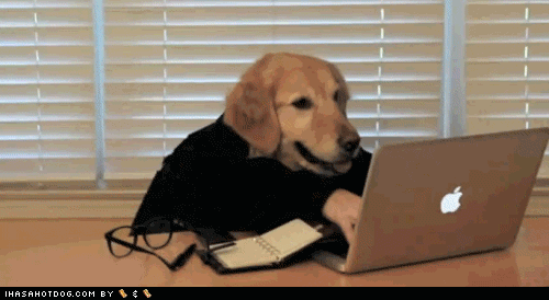 surfin the web