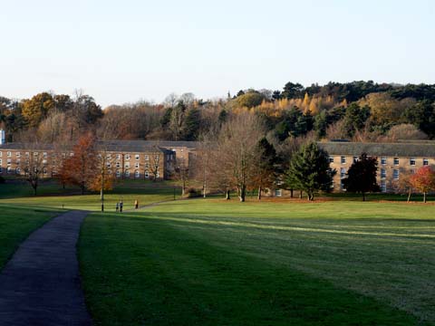 Downs