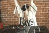 cat dj