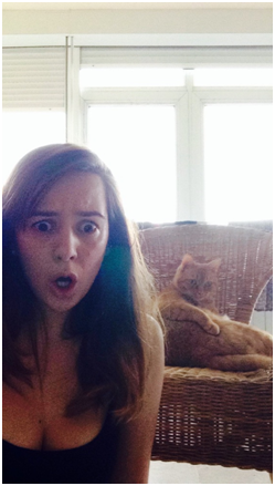 'Bring me my cat nip, human'
