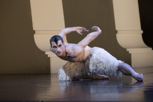 Jonathan Ollivier as The Swan