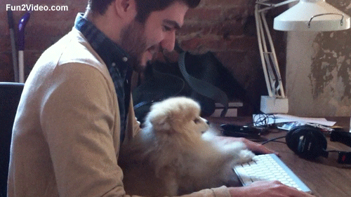 funny-puppy-cute-gif-animation