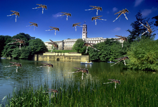 An artist's impression of the swarm