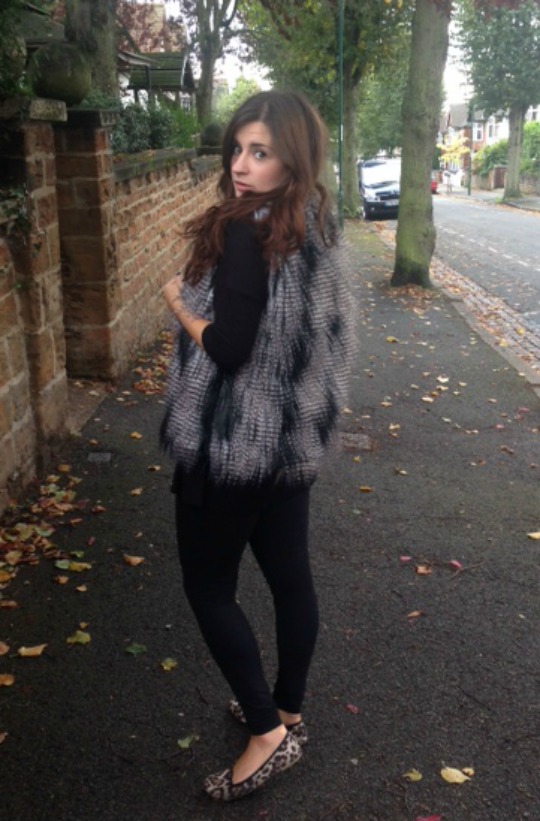 gilet
