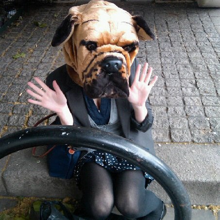 lina dog