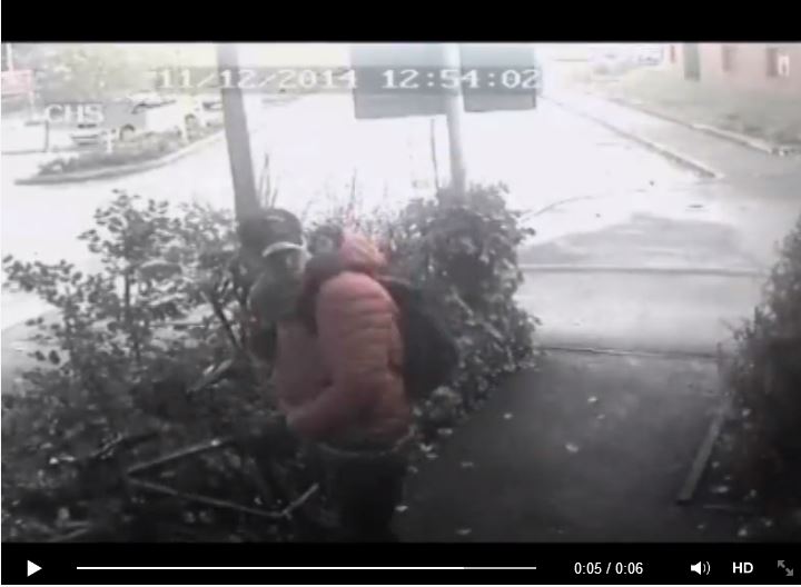 bike thief2