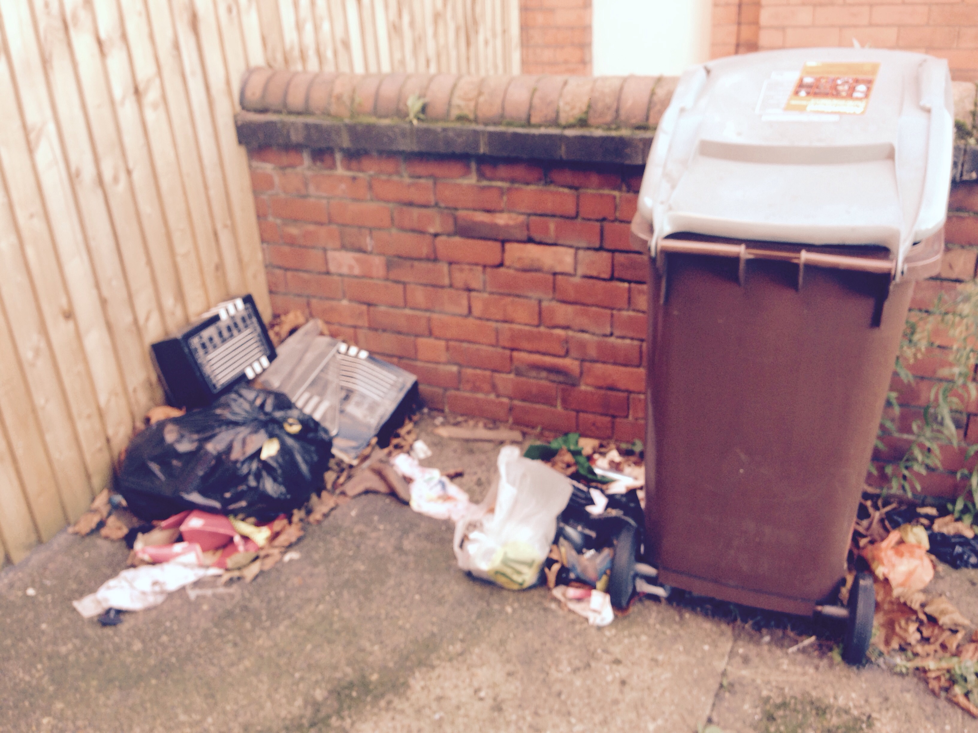 People even steal green bins