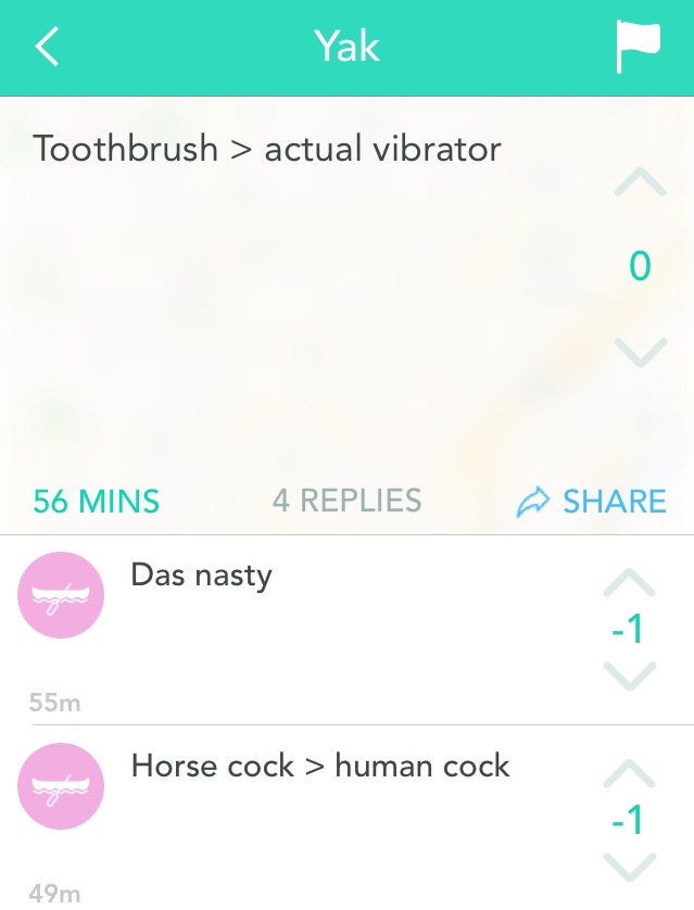 firstly, totally unhygienic. Secondly, Zoophilia is a crime. 