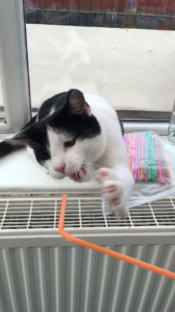 He doesn't like straws