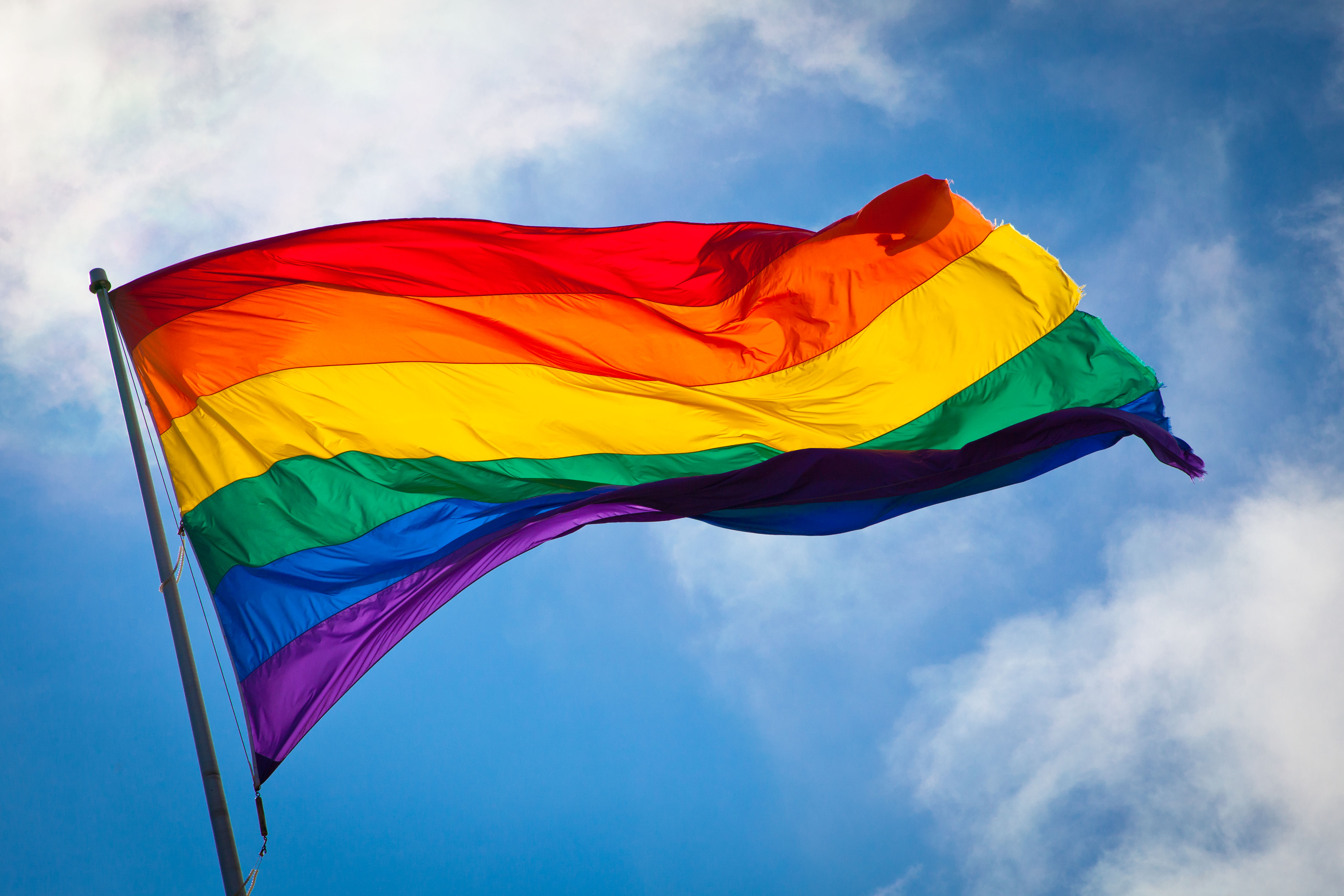 Rainbow_flag_breeze
