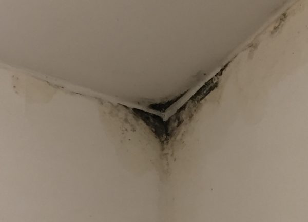 image9