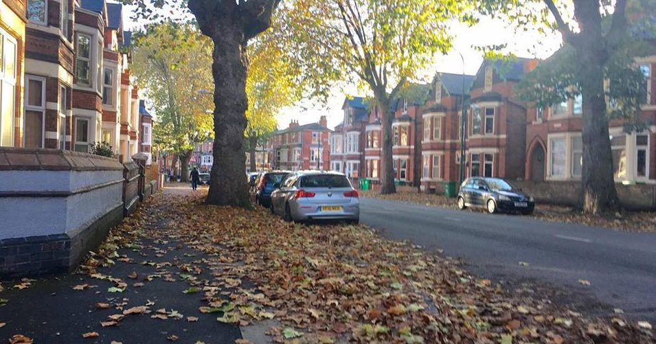 lenton-b