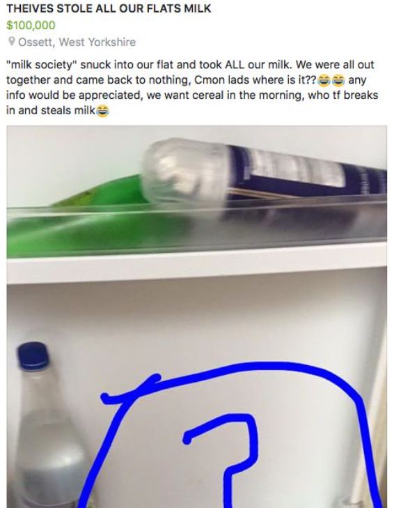 Image may contain: Toothbrush, Brush