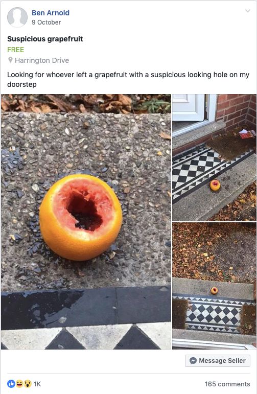 Image may contain: Rug, Produce, Food, Fruit, Plant