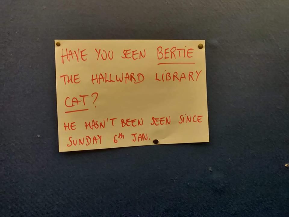 Image may contain: Business Card, Paper, Handwriting, Label, Text