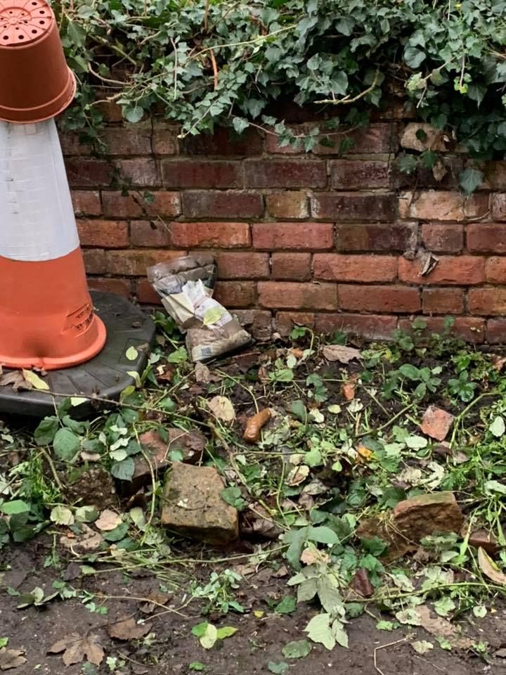 Image may contain: Cone, Plant, Fire Hydrant, Hydrant