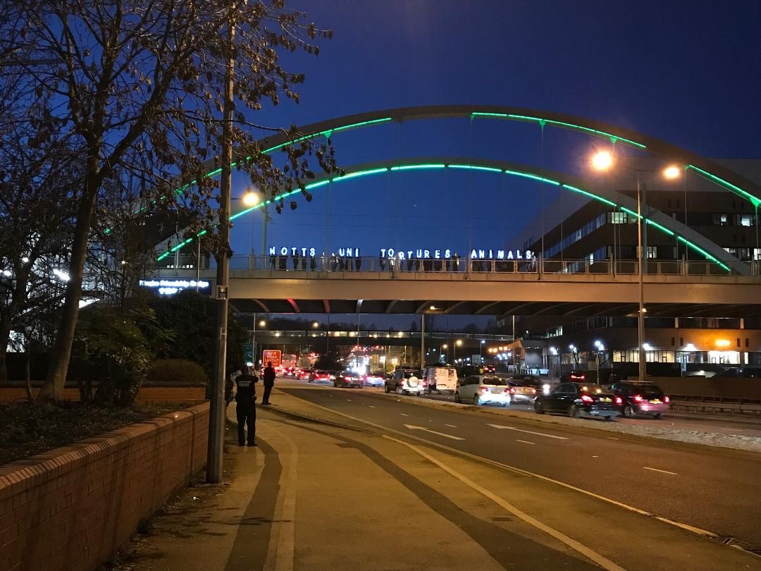 Image may contain: Pedestrian, Overpass, Asphalt, Tarmac, Vehicle, Automobile, Transportation, Car, Urban, Building, Town, Metropolis, City, Freeway, Human, Person, Road