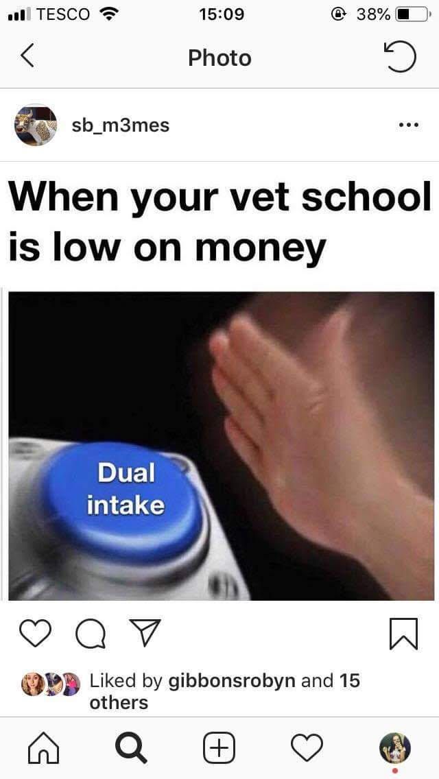 Image may contain: Text, Human, Person
