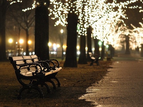 Christmas Lights