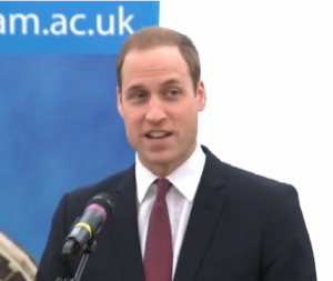 wills