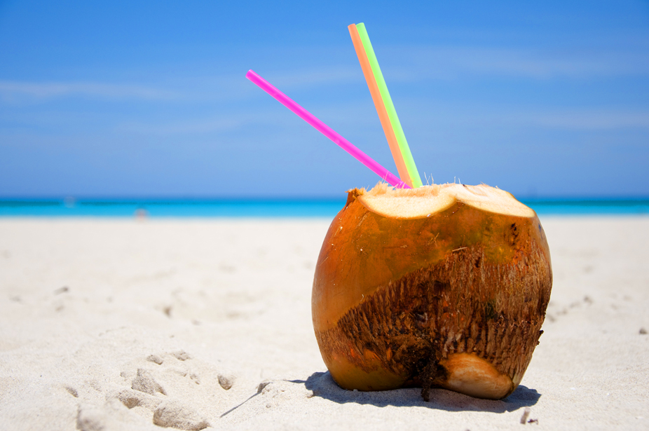 tropical coconut