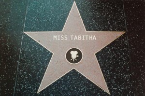 MissTabitha