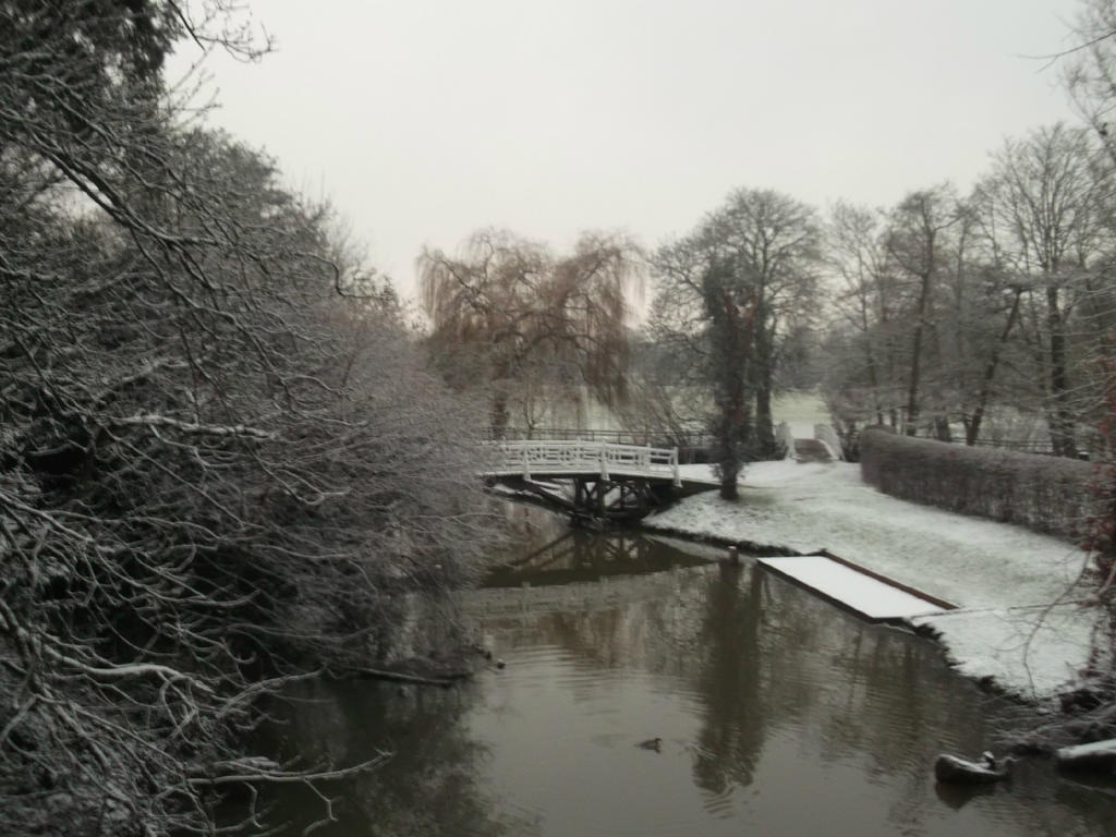 christchurch meadow