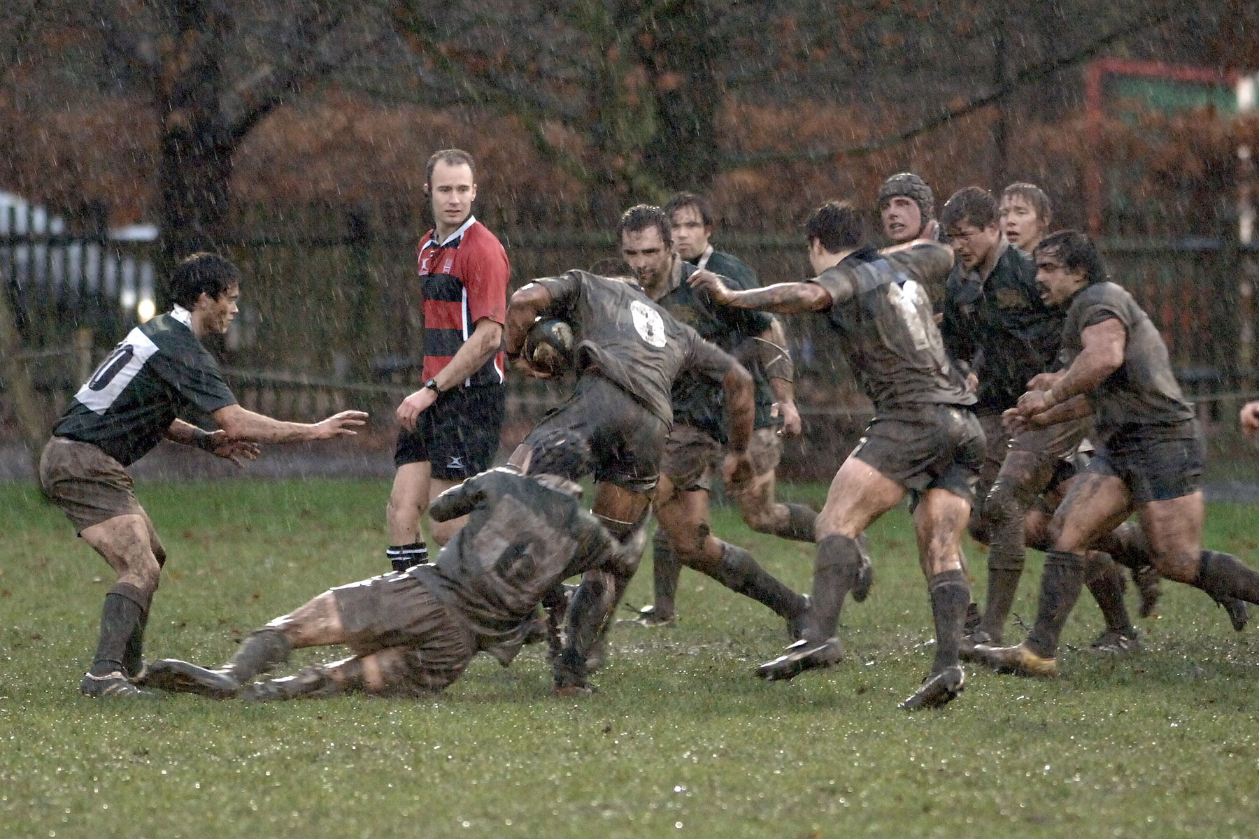 Hounds 2009 34