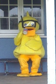 duck 2