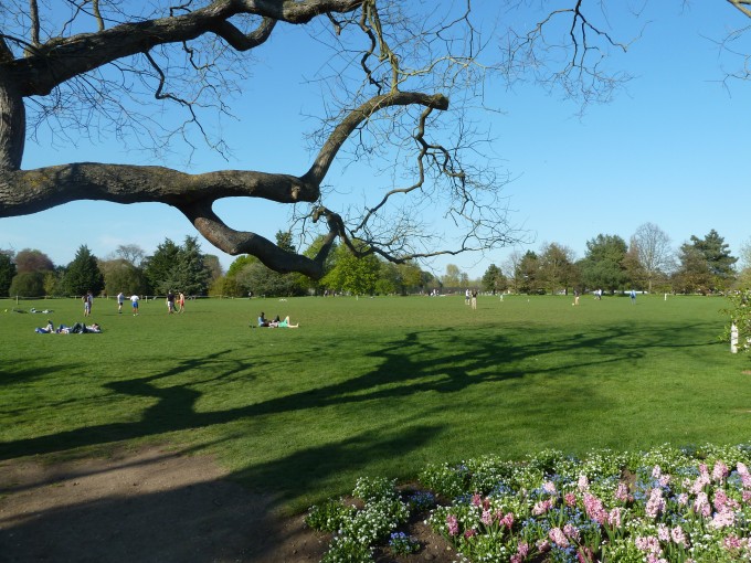 Bluni Parks: Students making the most of the clear skies
