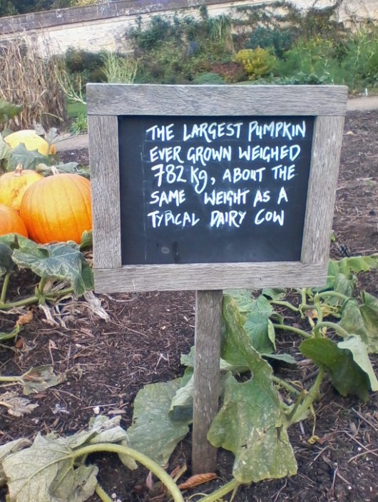 sign