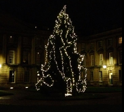 It's not our fault the profs aren't feeling the oxmas cheer