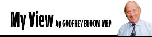 bloom masthead