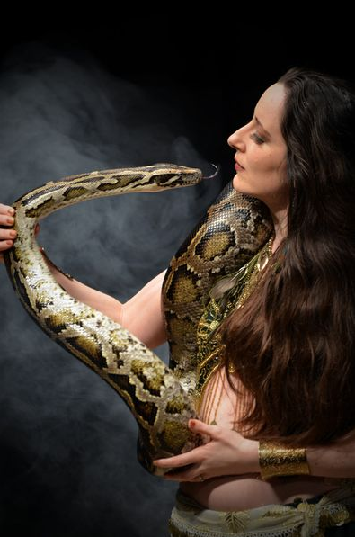 They make look dangerous, but we trust that the folks at the Union have dealt with slithering reptiles before.