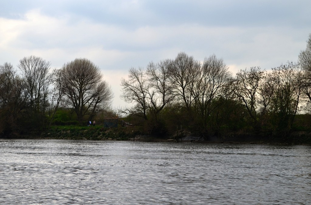 DSC_0940