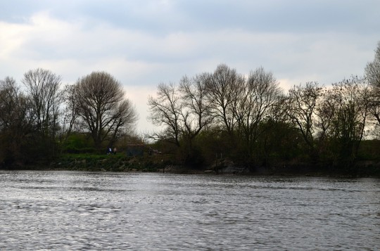 DSC_0940