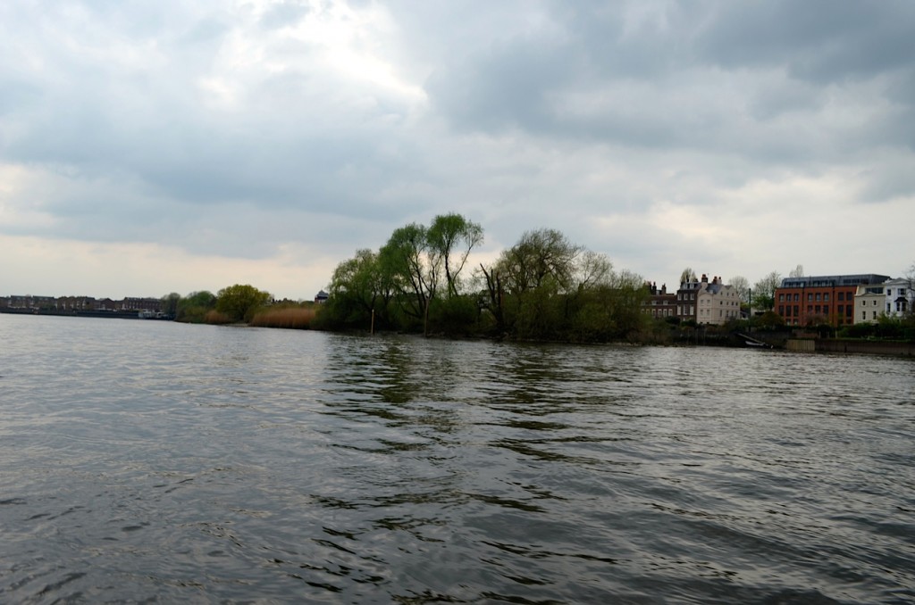 DSC_0950