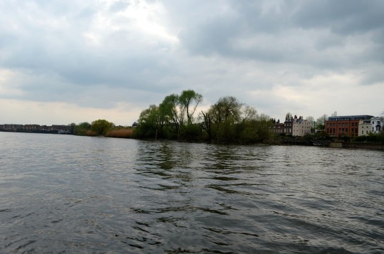 DSC_0950