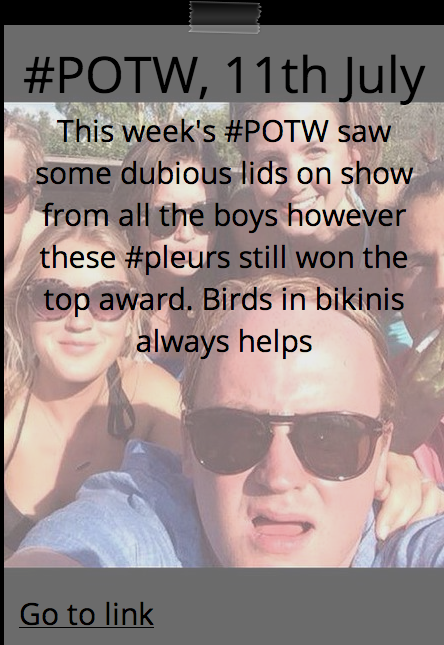 'Birds in bikinis always helps'