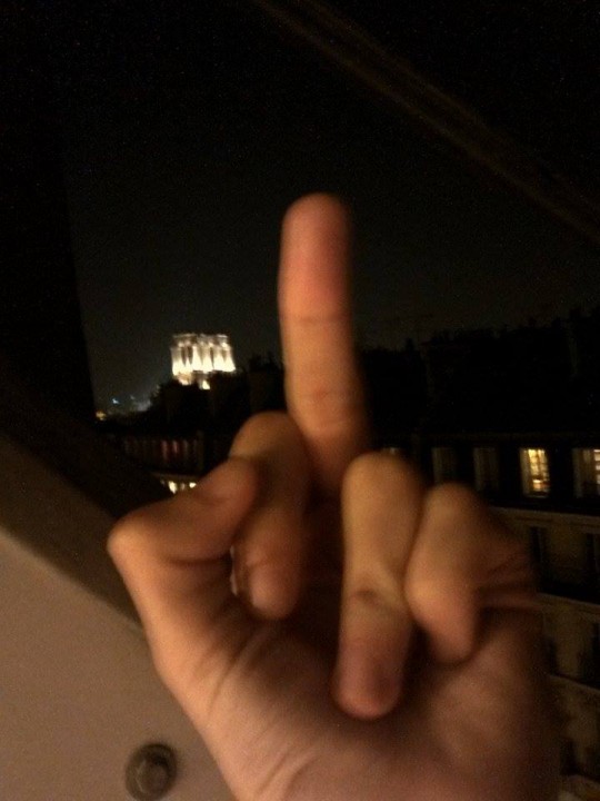 my flat is so fucking nice it hurts