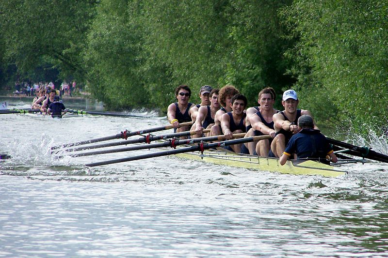 Dr Nethercott coxing University College 1st VIII via ChChBC