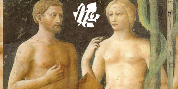 KAF Fig