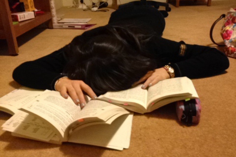 death by Sanskrit